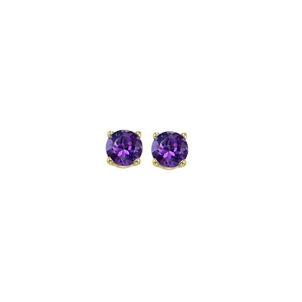 14Kt Yellow Gold & Amethyst 1/2Ctw Earring Pfaff Jewelers Grandville, MI