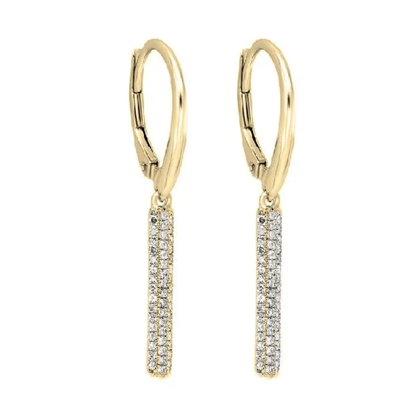 14Kt Yellow Gold Diamond 1/4Ctw Earring Collard Jewelers League City, TX