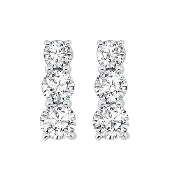 Silver Diamond 1/3Ctw Earring Pfaff Jewelers Grandville, MI