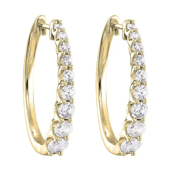 14Kt Yellow Gold Diamond 1/2Ctw Earring Woelk's House of Diamonds Russell, KS