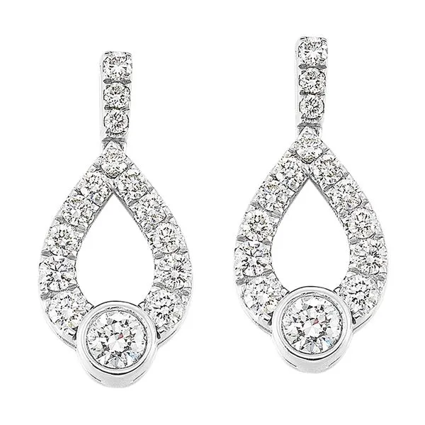 14Kt White Gold Diamond 1/4Ctw Earring Arlene's Fine Jewelry Vidalia, GA