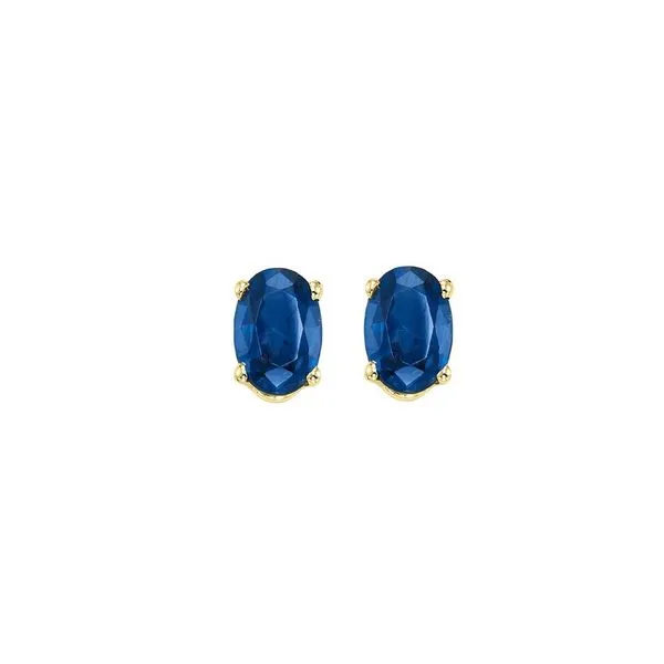 14Kt Yellow Gold & Sapphire 1/2Ctw Earring Pfaff Jewelers Grandville, MI