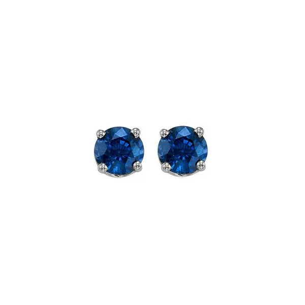 14Kt White Gold & Sapphire 5/8Ctw Earring Pfaff Jewelers Grandville, MI