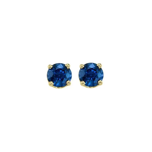 14Kt Yellow Gold & Sapphire 5/8Ctw Earring Pfaff Jewelers Grandville, MI