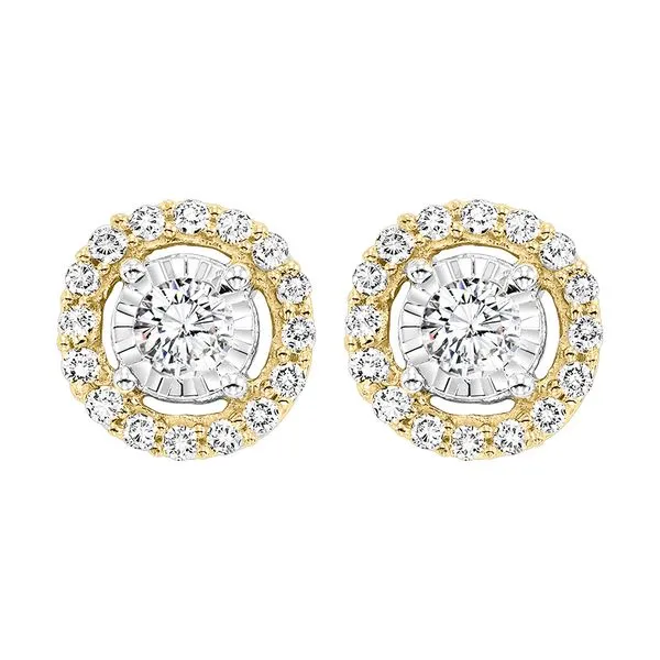 14Kt Yellow Gold Diamond 1/4Ctw Earring Pfaff Jewelers Grandville, MI