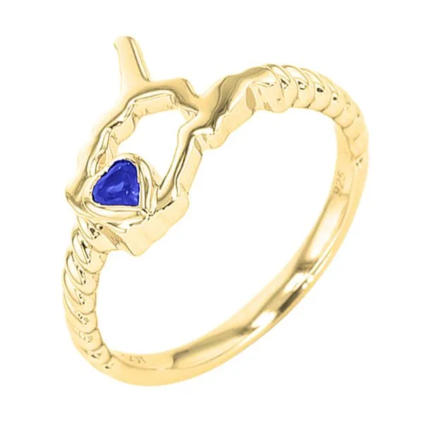 14Kt Yellow Gold & Sapphire 1/10Ctw Ring K & Co Family Jewelers Eagle, ID