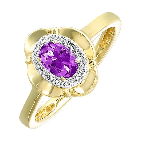 10Kt Yellow Gold Diamond 1/20Ctw & Amethyst 3/8Ctw Ring SIERRA MOON Auburn, CA