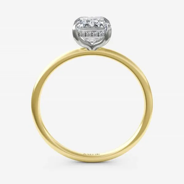 Mara Hidden Halo Image 2 Becky Beck's Jewelry DeKalb, IL