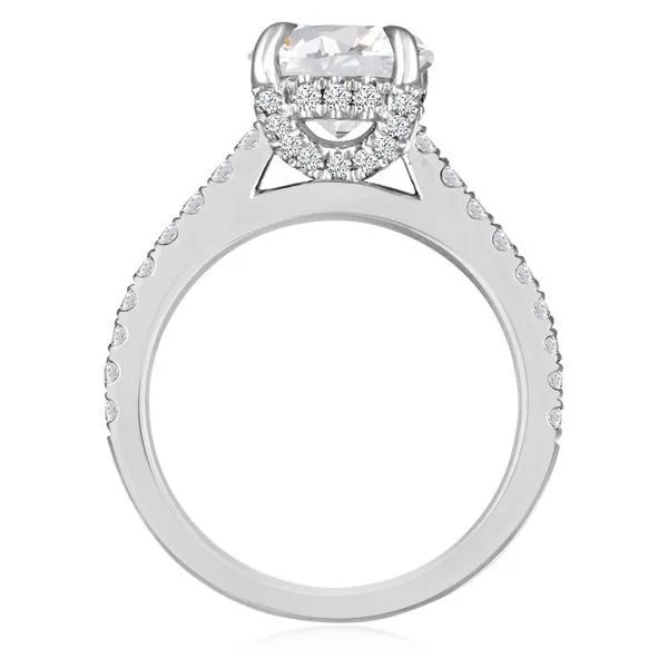 Round Diamond Cathedral Setting Image 2 Ambassador Diamond Jewelers Tucson, AZ