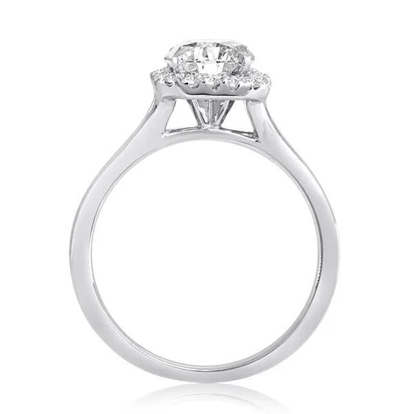 Round Diamond Pave Plain Shank Halo Setting Image 2 Ambassador Diamond Jewelers Tucson, AZ