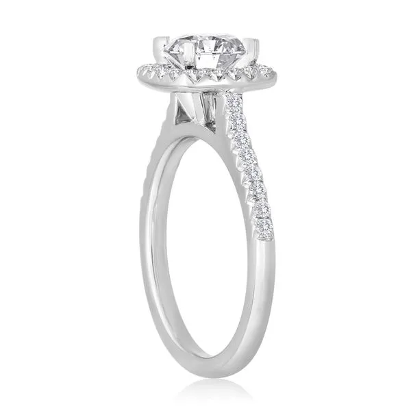 Round Diamond Pave Fishtail Cushion Halo Image 2 Ambassador Diamond Jewelers Tucson, AZ