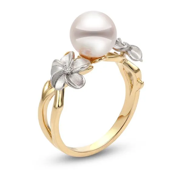 14KT Yellow & White Gold Akoya Ring Avitabile Fine Jewelers Hanover, MA