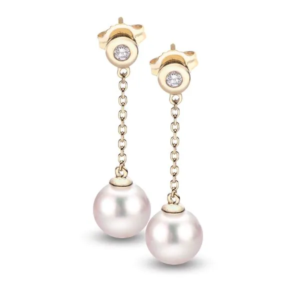14KT Yellow Gold Akoya Pearl Earring Clater Jewelers Louisville, KY