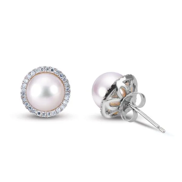 14KT White Gold Akoya Pearl Earring Clater Jewelers Louisville, KY