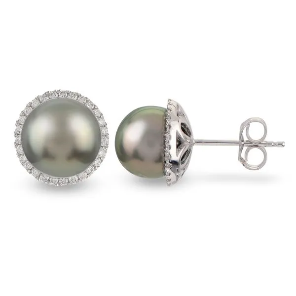14KT White Gold Tahitian Pearl Earring Richard's Jewelry Berne, IN