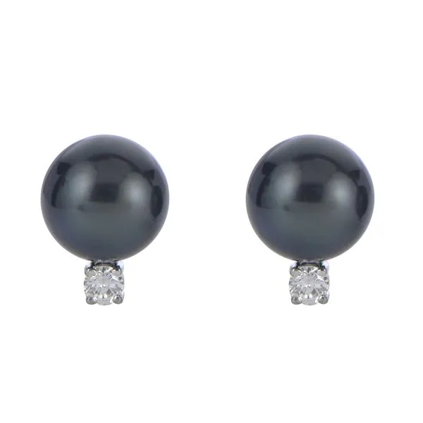 14KT White Gold Tahitian Pearl Earring Raleigh Diamond Fine Jewelry Raleigh, NC