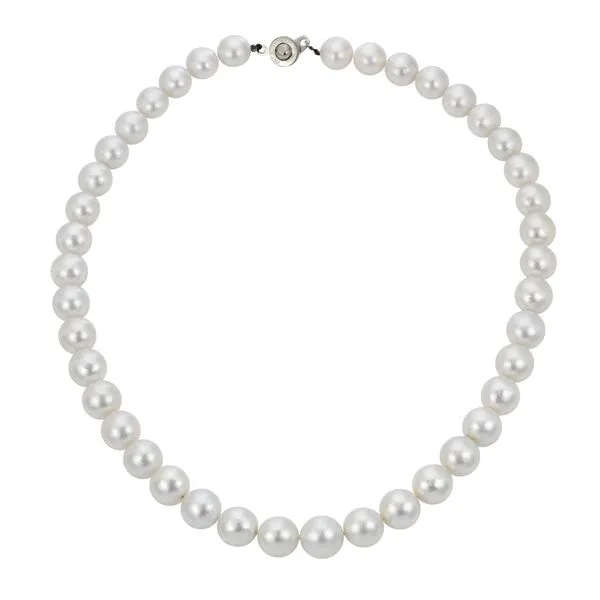 White South Sea Pearl Necklace Diamonds Direct St. Petersburg, FL