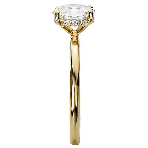 Diamond Hidden Halo Engagement Ring Image 3 Albert's Jewelers Kingsland, GA