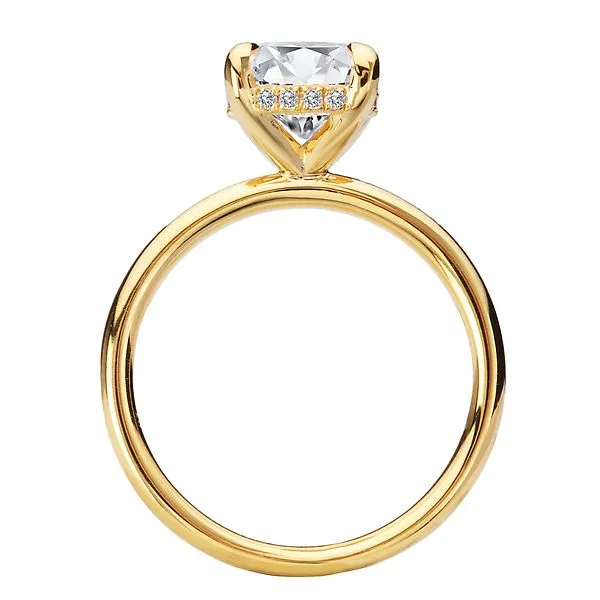 Diamond Hidden Halo Engagement Ring Image 2 Albert's Jewelers Kingsland, GA
