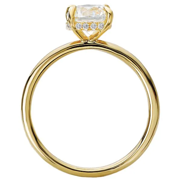 Diamond Hidden Halo Engagement Ring Image 2 Albert's Jewelers Kingsland, GA