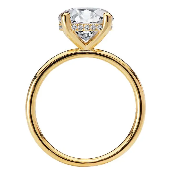 Diamond Semi-Mount Hidden Halo Engagement Ring Image 2 Boyd Jewelers Wesley Chapel, FL