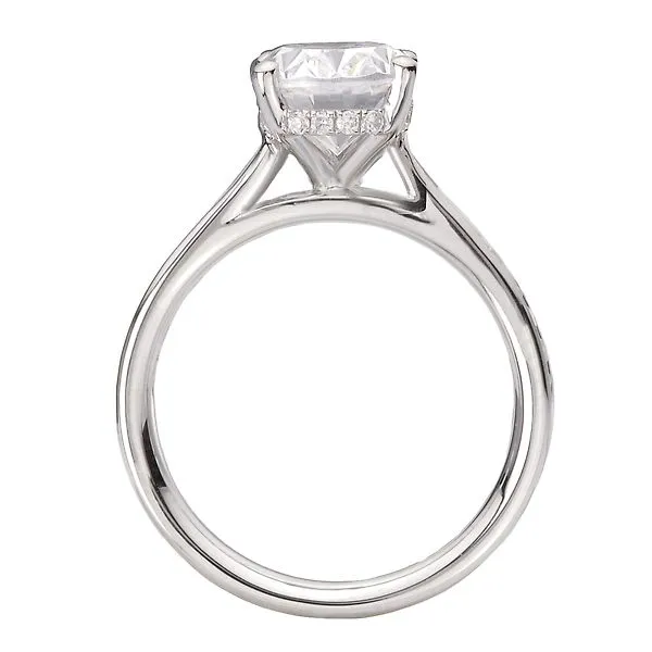 Hidden Halo Semi-Mount Diamond Engagement Ring Image 2 J. Schrecker Jewelry Hopkinsville, KY