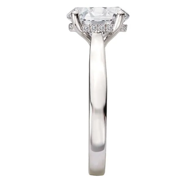 Hidden Halo Semi-Mount Diamond Engagement Ring Image 3 Alan Miller Jewelers Oregon, OH