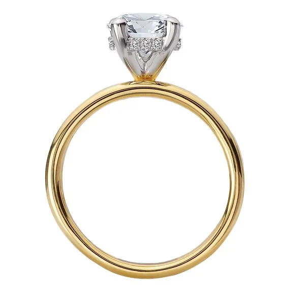 Diamond Semi-Mount Hidden Halo Engagement Ring Image 2 Gysbers Jewelry Waupun, WI