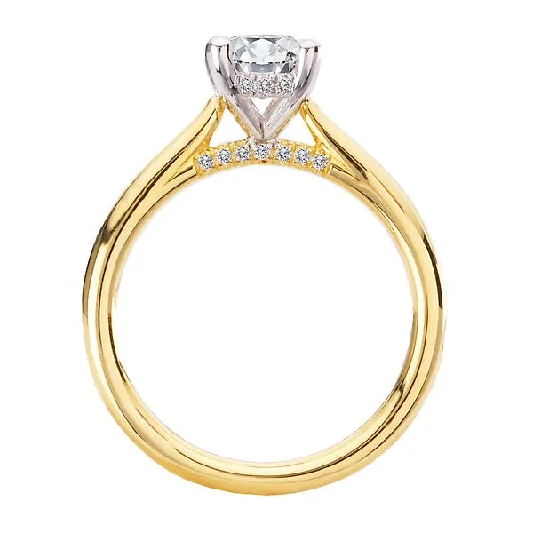 Hidden Halo Semi-Mount Diamond Engagement Ring Image 2 James Gattas Jewelers Memphis, TN