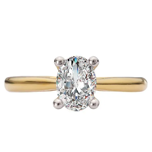 Hidden Halo Semi-Mount Diamond Engagement Ring Image 4 Alan Miller Jewelers Oregon, OH