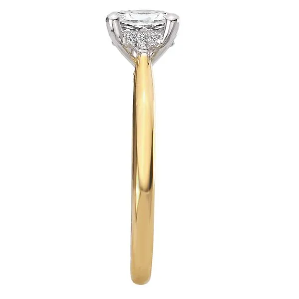 Hidden Halo Semi-Mount Diamond Engagement Ring Image 3 McCoy Jewelers Bartlesville, OK