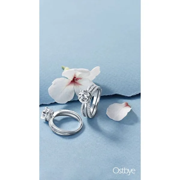 14k White Gold Bridal Set Image 5 Richard's Jewelry Berne, IN