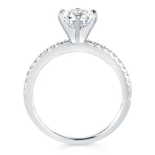 14k White Gold Bridal Set Image 5 Nesemann's Diamond Center Plymouth, WI