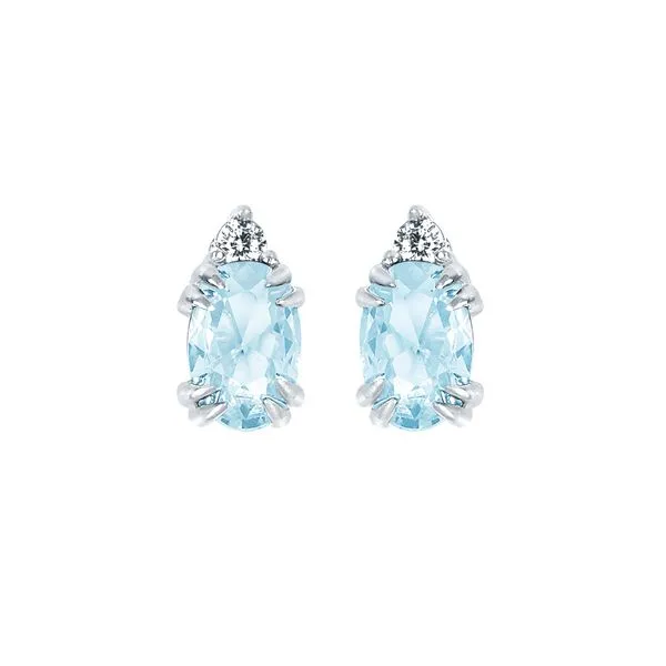 10k White Gold Gemstone Earrings Woelk's House of Diamonds Russell, KS