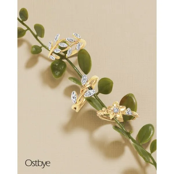 14k Yellow Gold Fashion Ring Image 2 Woelk's House of Diamonds Russell, KS