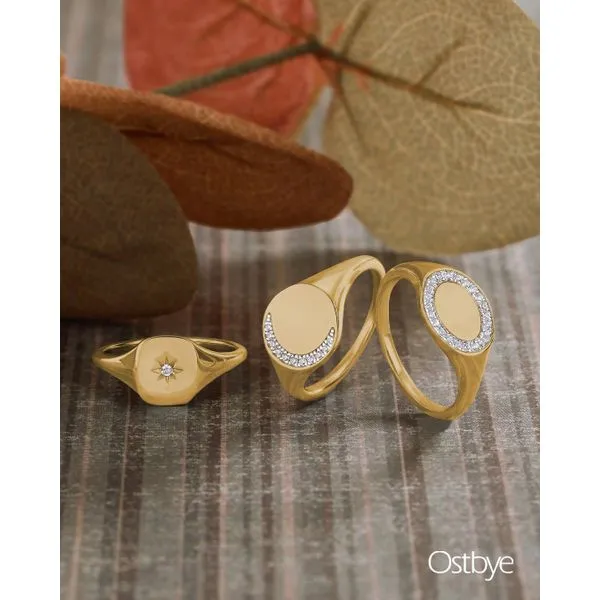 14k Yellow Gold Fashion Ring Image 2 Long Jewelers Chesapeake, VA