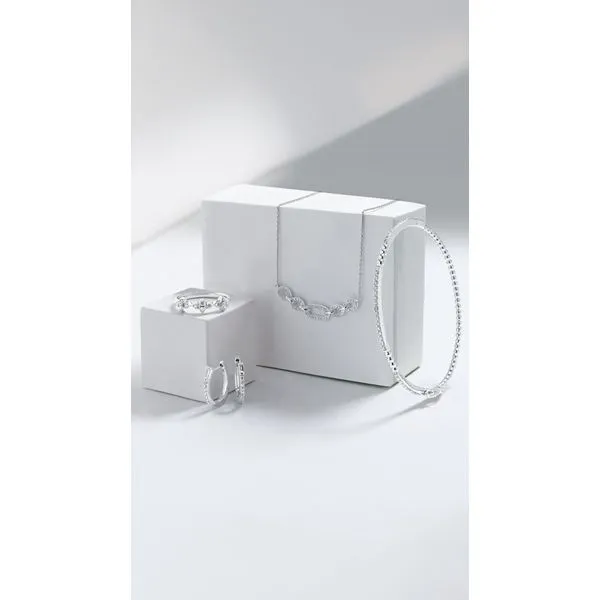 Sterling Silver Diamond Earrings Image 2 Nesemann's Diamond Center Plymouth, WI