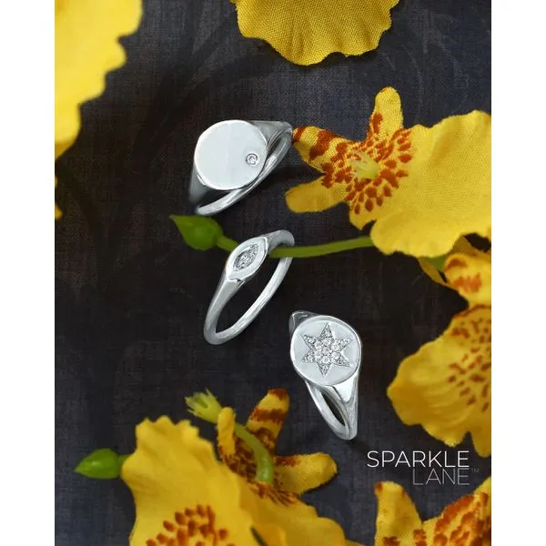 Sterling Silver Diamond Ring Image 2 J. Meredith Jewelers Delafield, WI