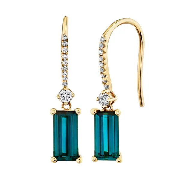 Parade In Color Earring Studio D Jewelers Woodstock, IL