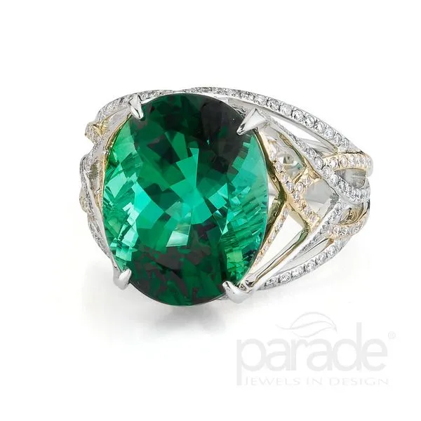 Parade In Color Color Ring Image 2 Studio D Jewelers Woodstock, IL