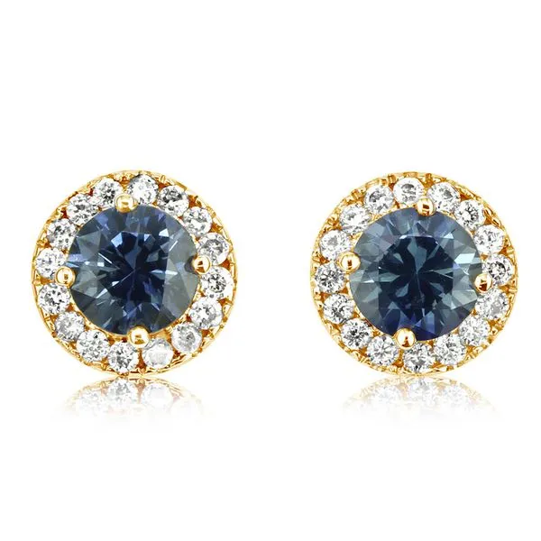 Yellow Gold Sapphire Earrings Albert's Jewelers Kingsland, GA