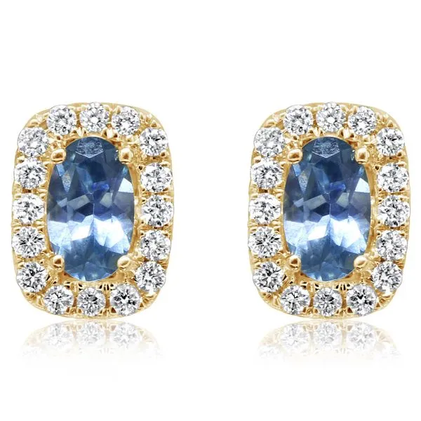 Yellow Gold Sapphire Earrings Albert's Jewelers Kingsland, GA