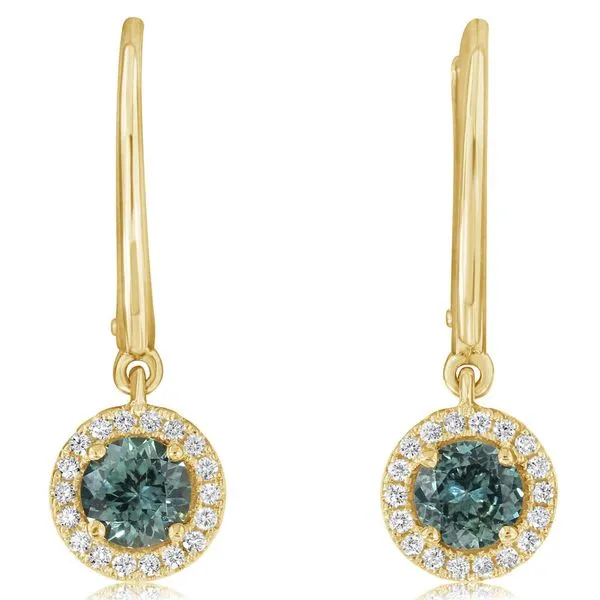 Yellow Gold Sapphire Earrings Albert's Jewelers Kingsland, GA