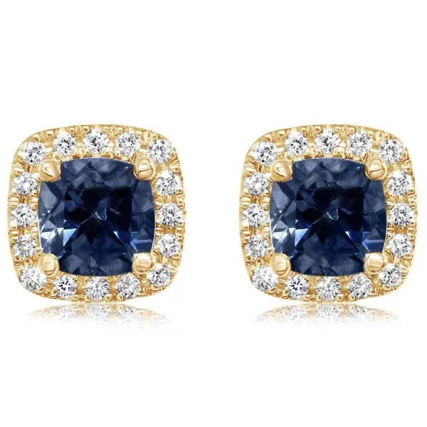 Yellow Gold Sapphire Earrings Leslie E. Sandler Fine Jewelry and Gemstones rockville , MD