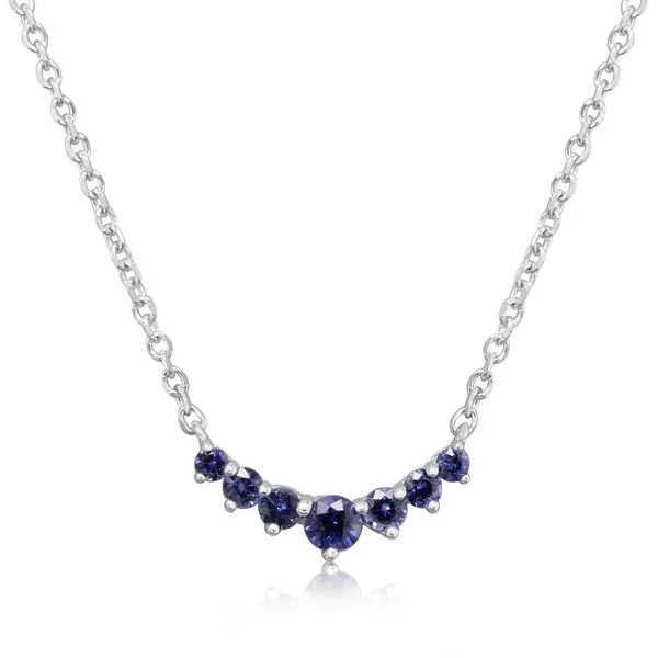 White Gold Sapphire Necklace Albert's Jewelers Kingsland, GA