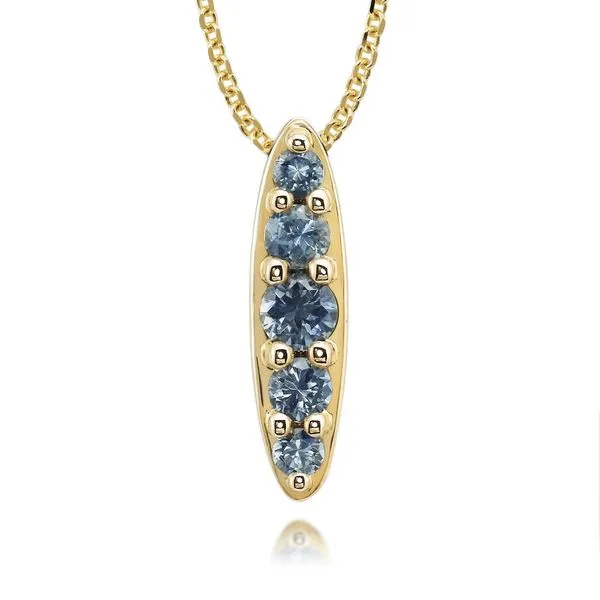 Yellow Gold Sapphire Pendant Albert's Jewelers Kingsland, GA