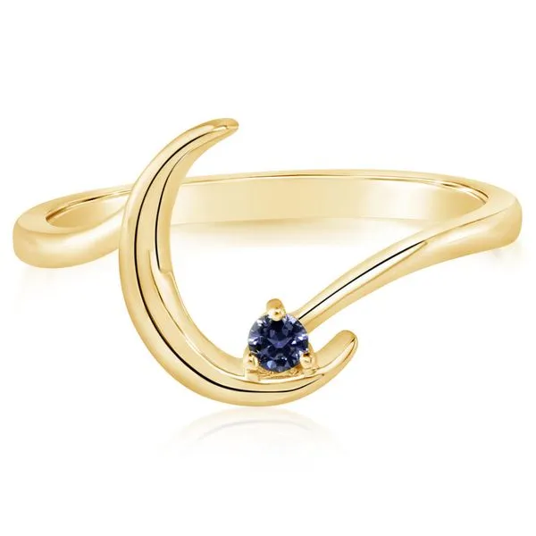Yellow Gold Sapphire Ring Albert's Jewelers Kingsland, GA