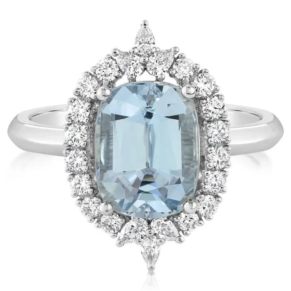 Platinum Aquamarine Ring Leslie E. Sandler Fine Jewelry and Gemstones rockville , MD