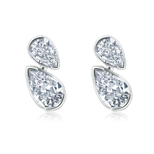 Diamond Earring James & Williams Jewelers Berwyn, IL