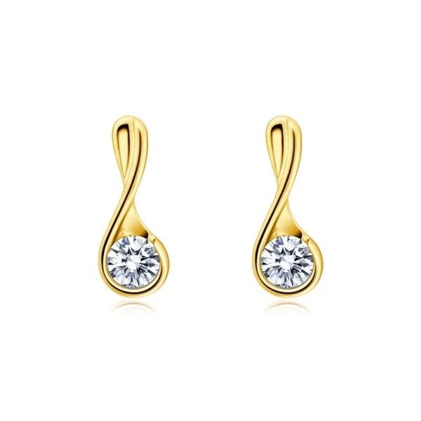 Diamond Earring James & Williams Jewelers Berwyn, IL